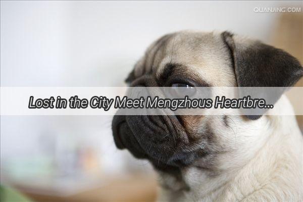 Lost in the City Meet Mengzhous Heartbreaking Story of a Lonely Pup Seeking a New Home